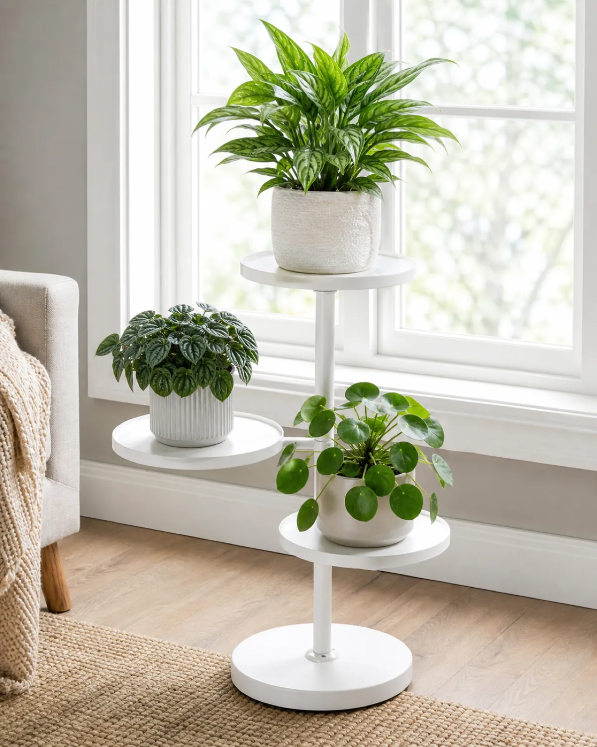 A white multi-tier rotating plant stand with circular shelves that can spin independently holding Chinese evergreen peperomia and pilea positioned in front of a bright window one shelf slightly turned showing the rotation mechanism clean modern interior bright natural window light