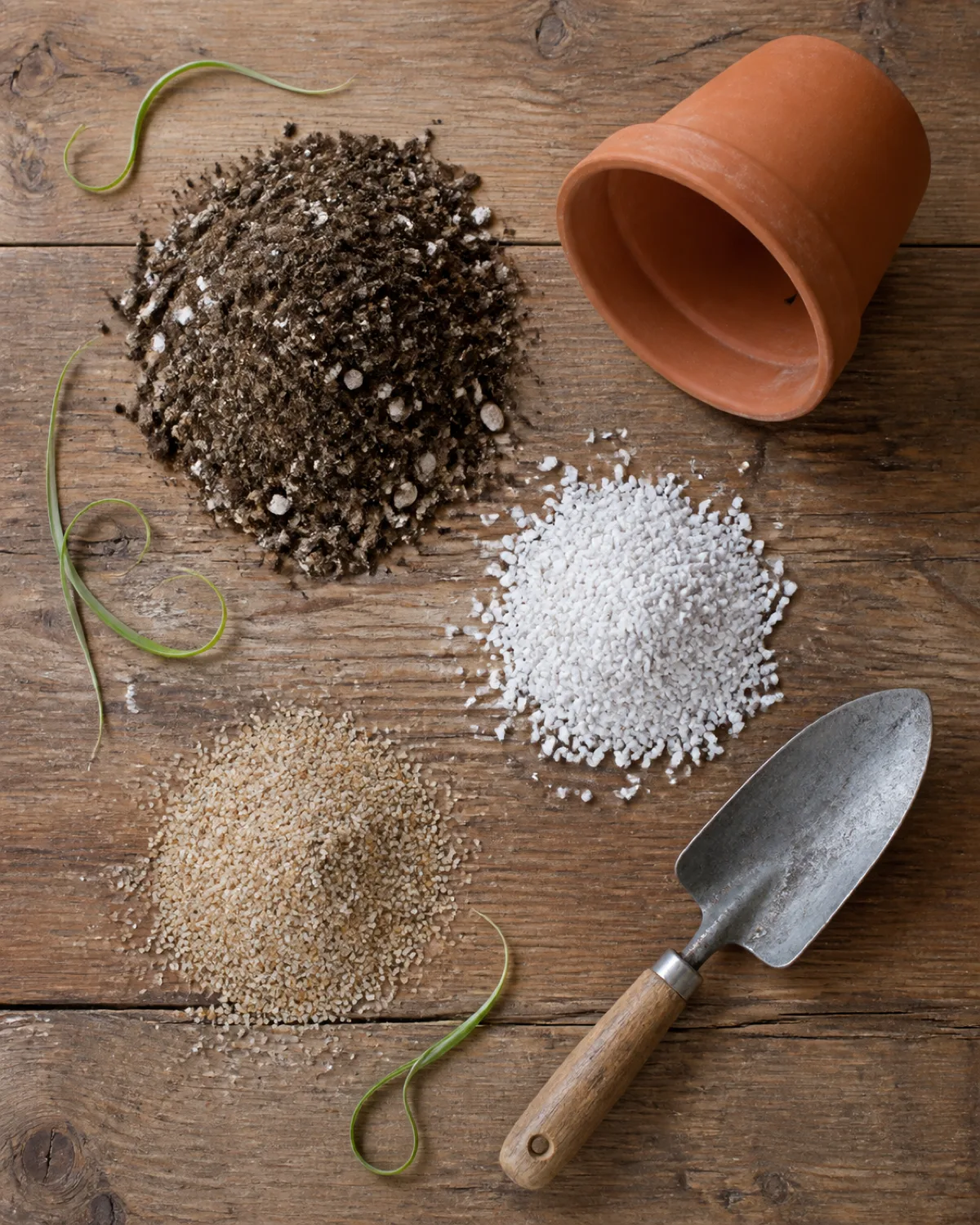 A flat-lay arrangement on a wooden surface showing ingredients for ponytail palm soil mix a pile of cactus potting mix a separate pile of perlite a small pile of coarse sand a terracotta pot on its side and a small hand trowel all arranged artfully with a few fallen curly ponytail palm leaves overhead natural light